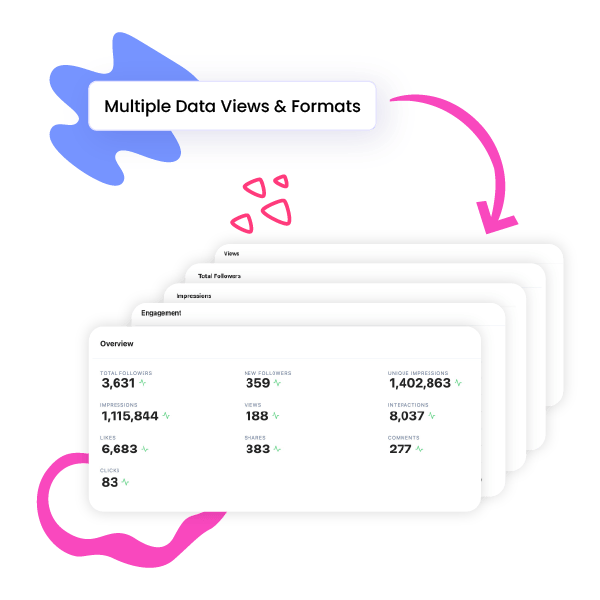 Multiple Data Views and Formats